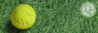 post-4568-5c4660e6d08bd