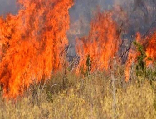 Φωτιά στο Φλάμπουρο Λουτρακίου