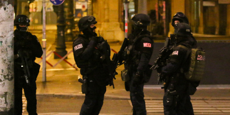 astynomikoi-austria_0