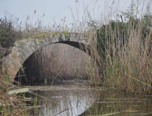 Αργολίδα: Καθάριζαν τις καλαμιές και βρήκαν γέφυρα του 17ου αιώνα !!! …(ΒΙΝΤΕΟ + ΦΩΤΟ)