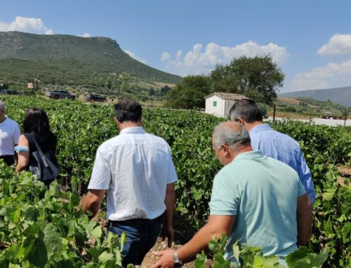 ΕΛΓΑ: Έναρξη Υποβολής Δηλώσεων Ζημιάς για Χαλάζι – Βροχόπτωση