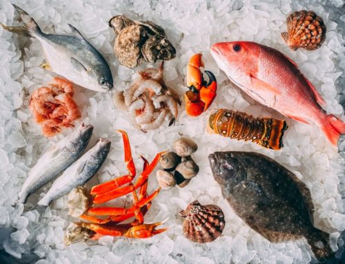 ΕΟΔΥ: Συμβουλές για ασφαλή κατανάλωση θαλασσινών και οστρακοειδών την περίοδο της Σαρακοστής