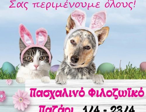 Πασχαλινό φιλοζωϊκό παζάρι στο Λουτράκι (1-23 Απριλίου)