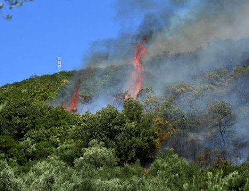 Λακωνία: Σύλληψη για εμπρησμό από αμέλεια