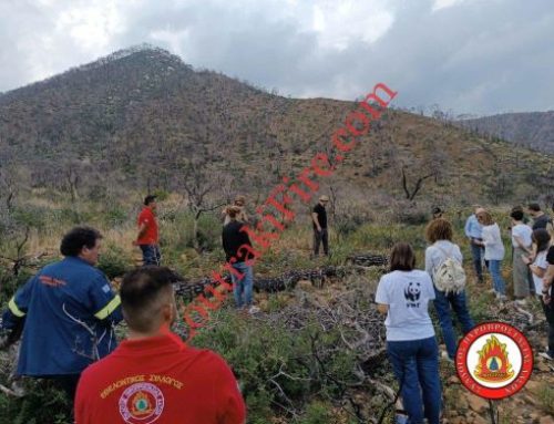 Επίσκεψη των φορέων υλοποίησης του “Προγράμματος Υποστήριξης Εθελοντικών Ομάδων Δασοπυροπροστασίας”