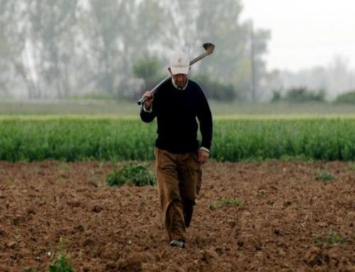 Ασφαλιστικό: Συνταξιοδότηση με οφειλές – Τι προβλέπεται για τους αγρότες