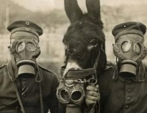 30 Νοεμβρίου: Ημέρα μνήμης για τα θύματα του Χημικού πολέμου