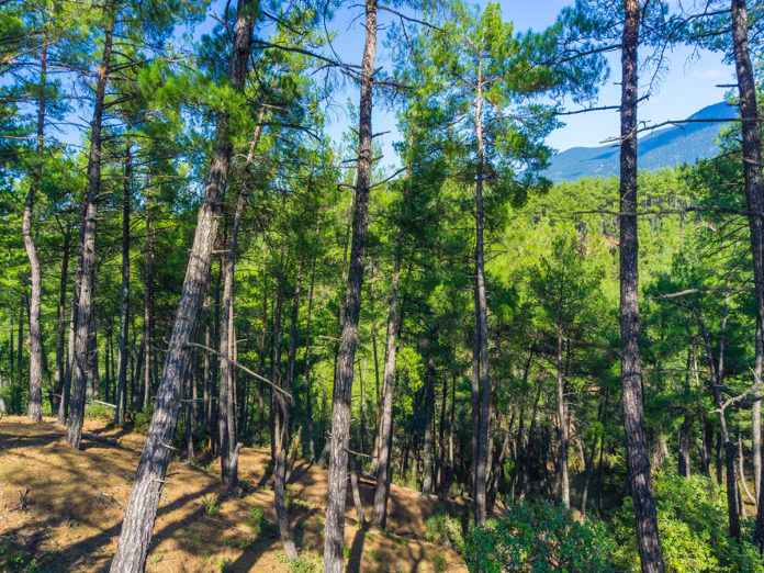 περιοχές natura
