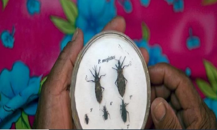 νοσος τσάγκας