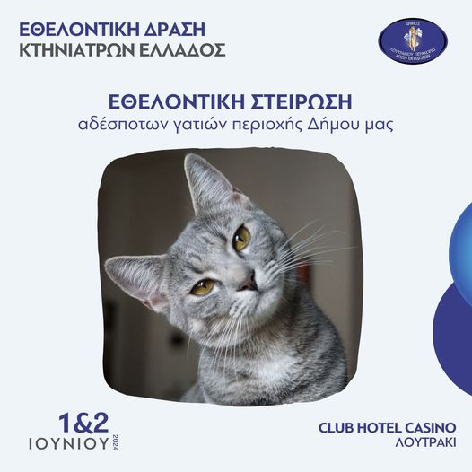 στείρωση