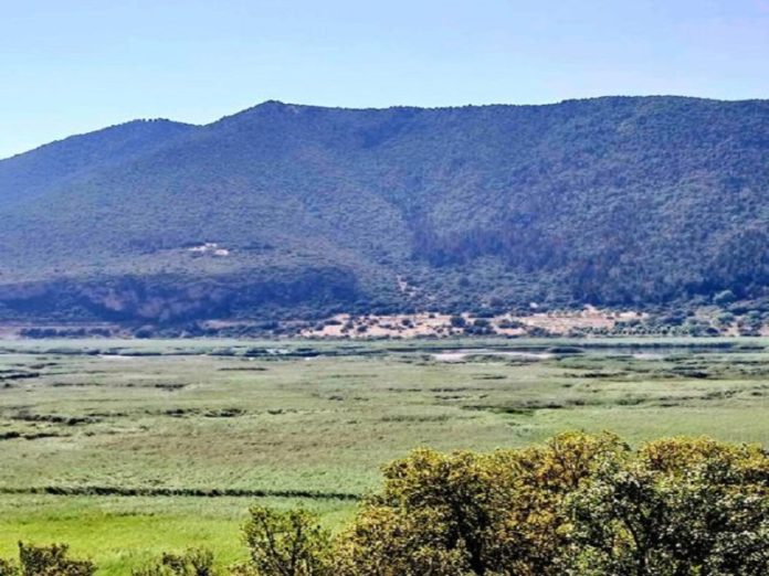 χρίστος δήμας λίμνη της στυμφαλίας