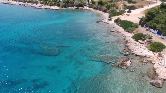 paralia vardarh