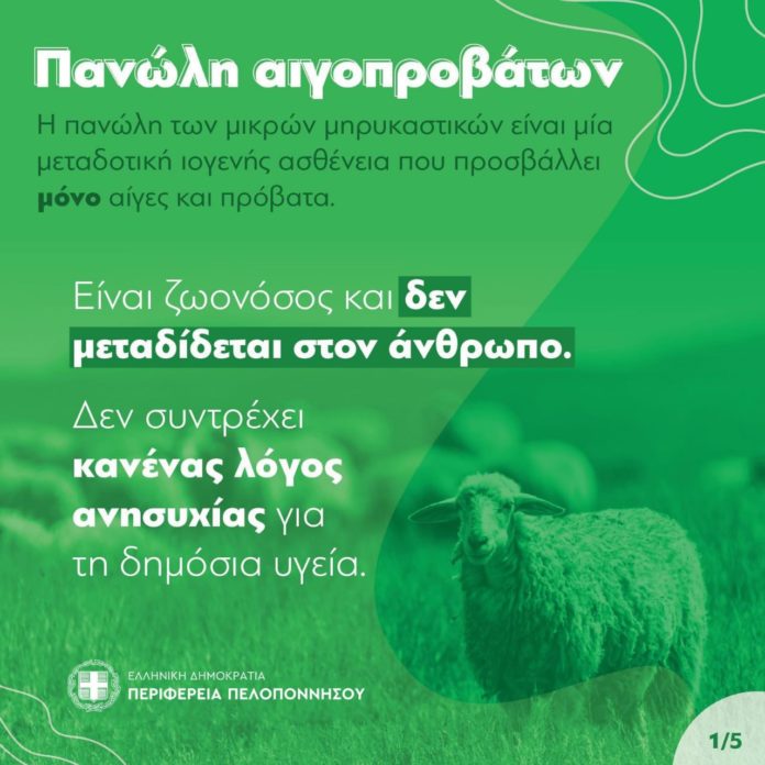 πανώλη