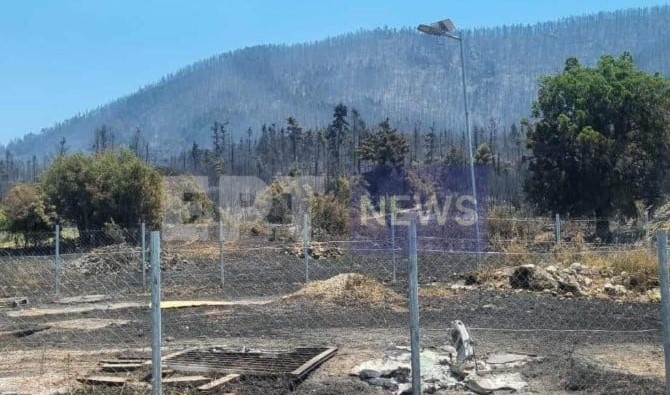Φωτιά στην Κορινθία: Έφτιαχναν λυόμενα στο δάσος