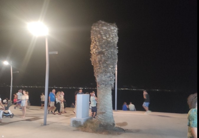 Screenshot_34 «Μνημείο Πεσόντων Φοινίκων επί δημαρχίας Γιώργου Γκιώνη». Toυ Ανδρέα Λιούμπα