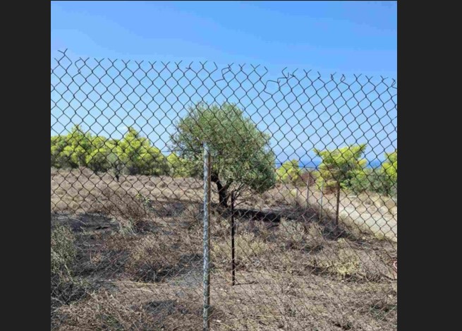 Πρόλαβαν φωτιά στην Καλλιθέα Λουτρακίου(ΦΩΤΟ)