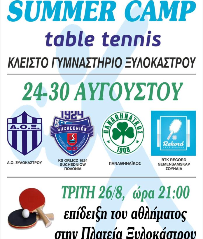αφίσα summer camp table tennis