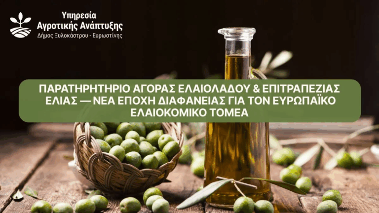 Παρατηρητήριο Αγοράς Ελαιολάδου και Επιτραπέζιας Ελιάς — Νέα εποχή διαφάνειας για τον ευρωπαϊκό ελαιοκομικό τομέα