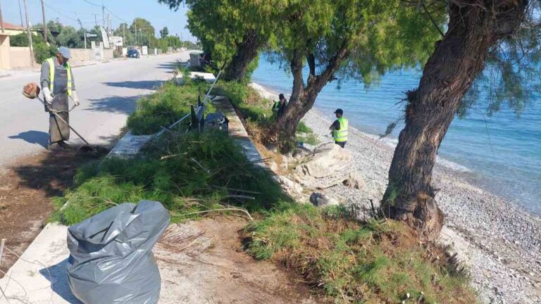 Ο Δήμος Ξυλοκάστρου συνεχίζει παρεμβάσεις καθαριότητας και φροντίδας σε κοινόχρηστους χώρους