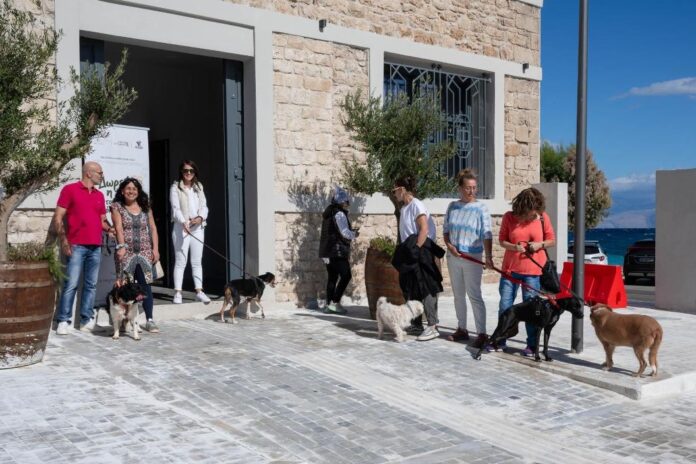 Ο Δήμος Σικυωνίων στην πρώτη γραμμή για την προστασία των αδέσποτων(BINTEO)